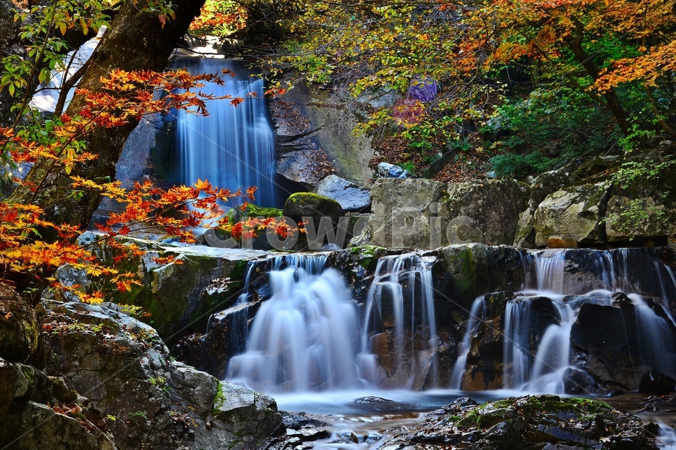 waterfall,폭포,water,물,nature,자연,river,강,outdoors,옥외,plant,식물,leaf,잎,강원도,인제,방태산,방태산폭포,방태산이단폭포,방태산가을,단풍,추색,낙엽,단풍잎,자연,풍경,nature,landscape