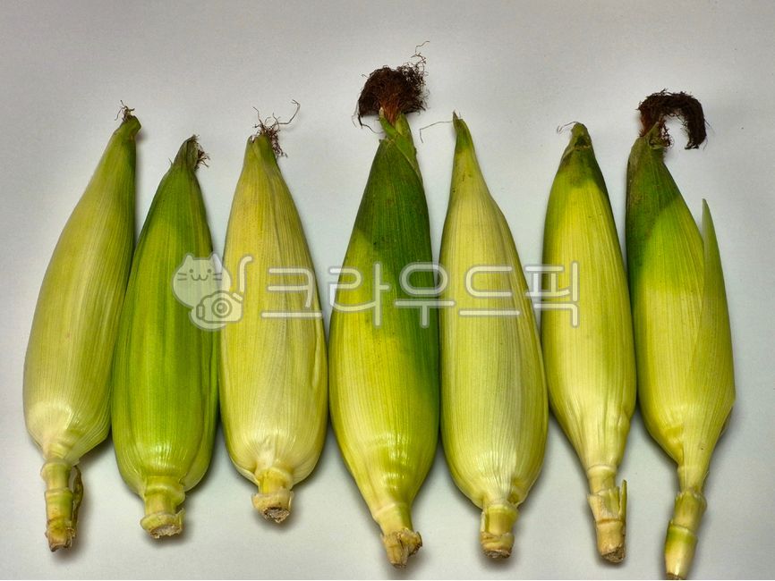 옥수수,찰옥수수,곡류,농산물,채소