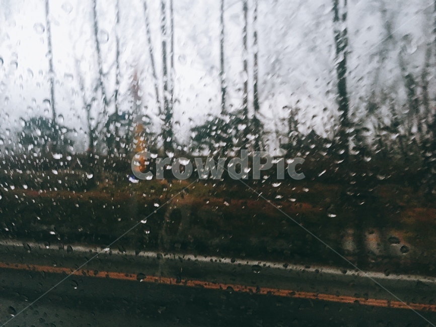 비,물방울,도로,나무,어두운,감성사진,raining,rain,비,비오는날,rain,rainy