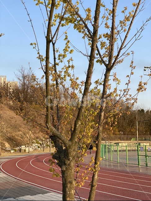 sport,sports,스포츠,육상트랙,runningtrack