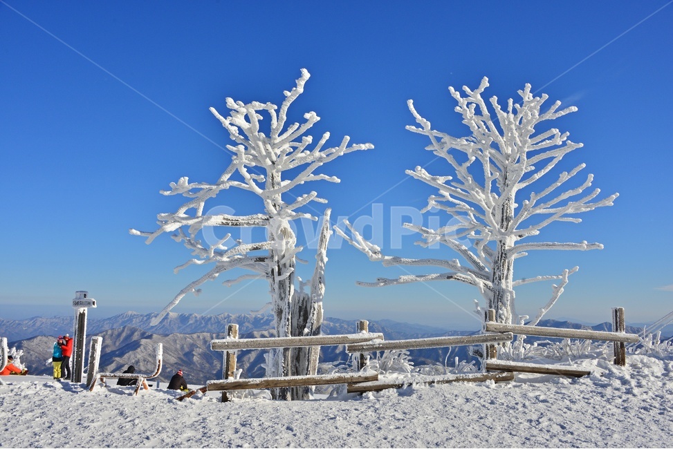 person,사람,human,인간,glacier,빙하,ice,빙,snow,nature,자연,landscape,경치,outdoors,옥외,향적봉,scenery,풍경,mountain,산,경관,무주,덕유산,설천봉,상제루,덕유산설경,상고대,눈,겨울,계절,중봉