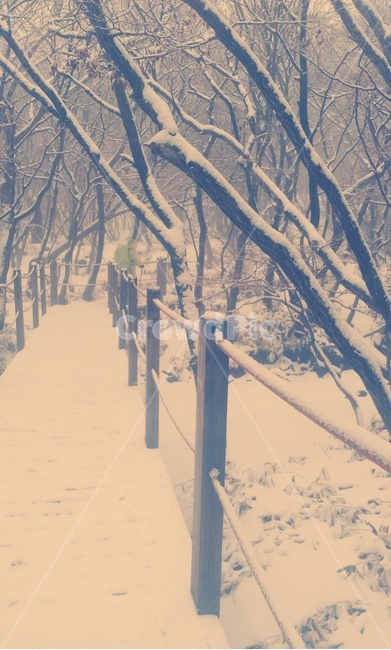눈,설산,한라산,겨울,흰,겨울,계절,winter,season,자연,풍경,nature,landscape,outdoors,옥외,snow,storm,폭풍,blizzard,눈보라