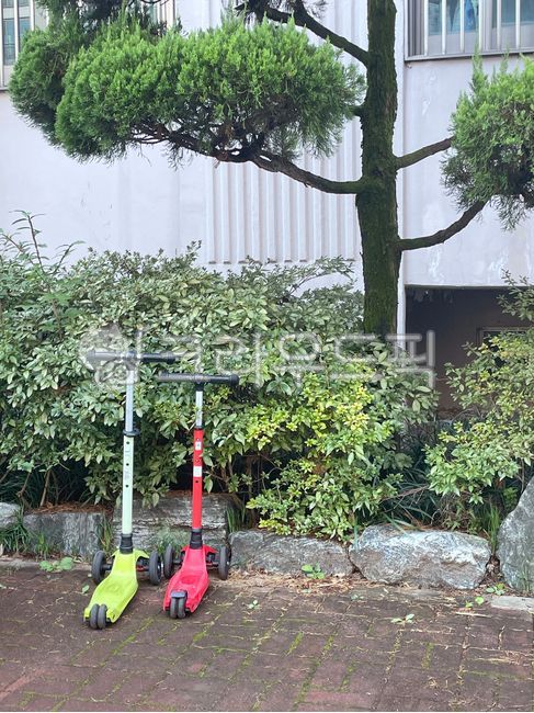 킥보드,아파트단지,아파트,킥보드주차,어린이,아파트조경