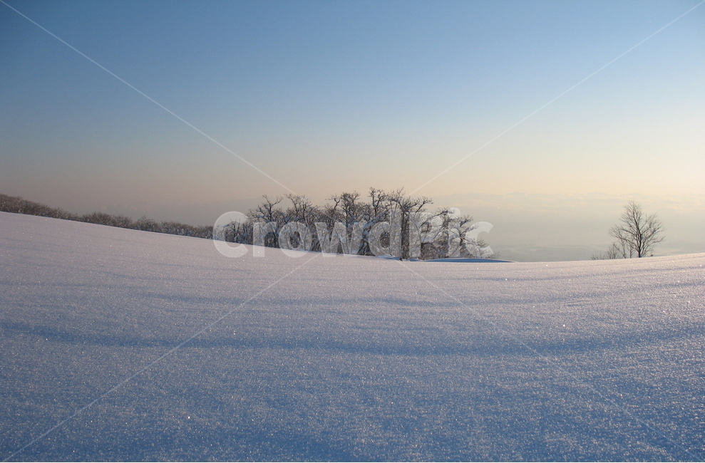 대관령,선자령,설경,일출,여명,겨울,겨울,계절,winter,season,자연,풍경,nature,landscape,outdoors,옥외