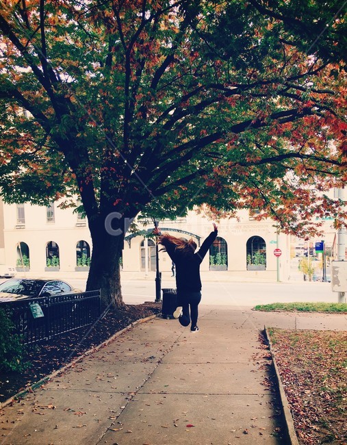 점프,가로수길,나무,가을,신남,happy,enjoy,fall,jump,tree,가을,계절,fall,autumn,season,자연,풍경,nature,landscape,사람,인물,인간,human,person,여성,여자,woman,female,lady,path,통로,sidewalk,보도,pavement,포장