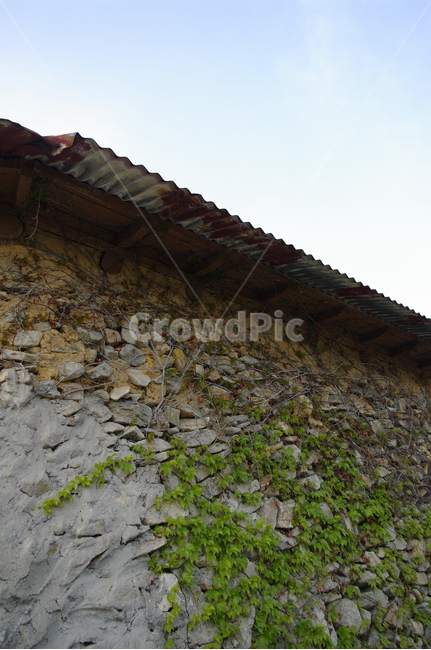 돌담,집,시골,농촌,지붕,하늘,구름,넝쿨,식물,plant,건축물,건물외관,exterior,building,structure,architecture,construction
