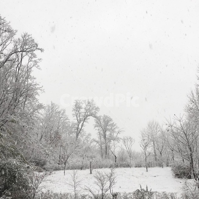 겨울,눈,겨울풍경,설산,함박눈,하얀세상,겨울아침,한겨울,겨울,계절,winter,season,자연,풍경,nature,landscape,outdoors,옥외,snow