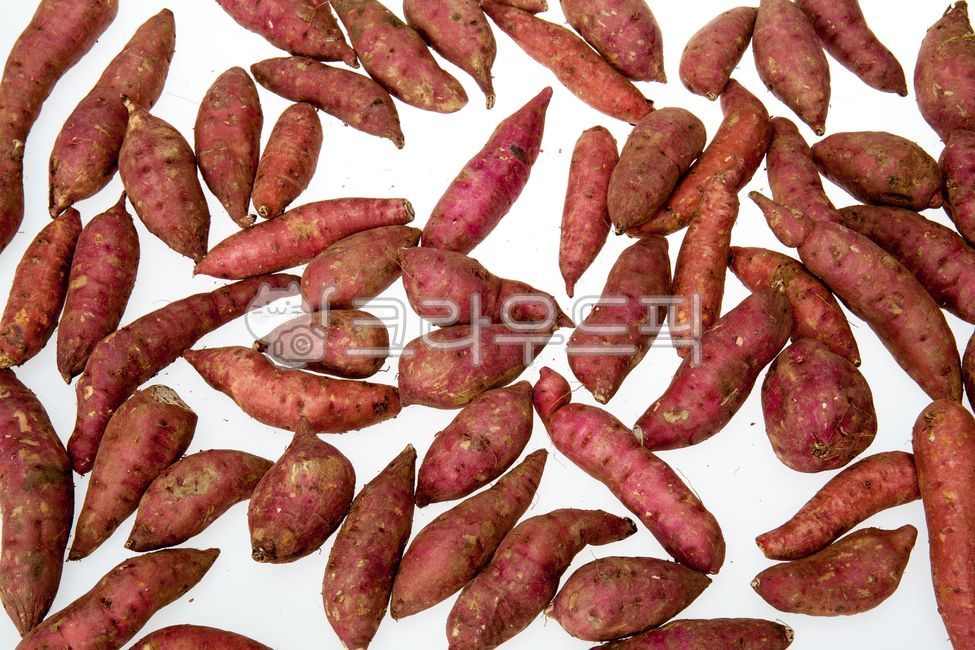 chestnut sweet potato,sweet potato,Roasted Sweet Potato,Honey sweet potato,Fresh sweet potatoes,Pumpkin Sweet Potato