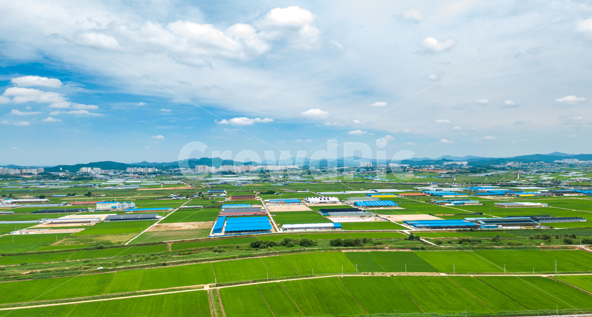 하늘,sky,논,green,blue,구름,cloud,드론사진,드론샷,시골,마을,풍경,landscape,country,rural,town