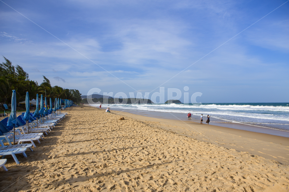 ocean,대양,nature,자연,water,물,outdoors,옥외,sea,shoreline,해안선,person,human,인간,피서객,여행객,동남아,태국,푸켓,해변,해변가,바다,바닷가,해안,해안가,모래사장,모래,백사장,해수욕장,비치,해수,바닷물,파도,물거품,거품,파라솔,바다경치,백그라운드,비치의자,사람,산책,바람,리조트,야자수,야자나무,방풍림,풍경,배경,개,애완동물,반려견,thailand,phuket,resort,휴양지,beach,summer,의자,여름,해변,바다,beach,sea