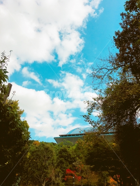 풍경,하늘,나무,구름,날씨,가을,계절,fall,autumn,season,자연,풍경,nature,landscape