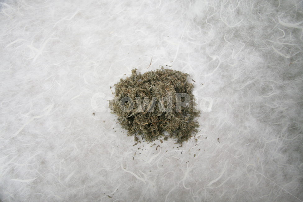 natural,Oriental medicine,koreantraditional,orientalmedical,Jinho In,medicine,Herb,Oriental medicine clinic,Chinese medicine,Heo Jun,Oriental medicine hospital,Oriental medicine doctor,Donguibogam,Wormwood,tonic,medicinal herbs,koreanmedicine,medicinal pl