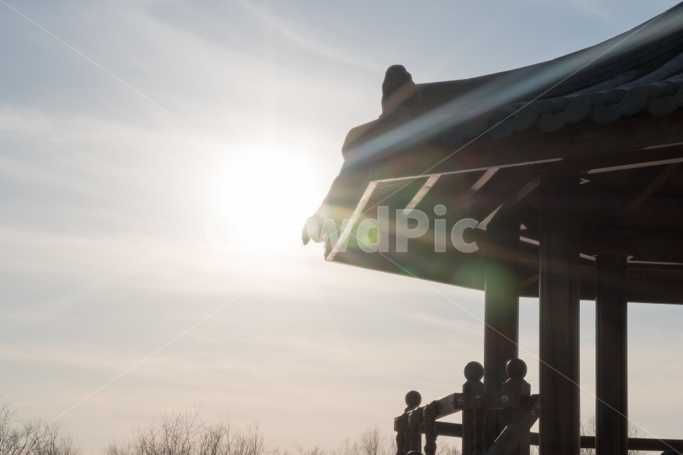 일몰,정각,지붕,오후,해질녘,삼락공원,부산공원,산책,공원,우후,저녁,새질녘,구름,미세먼지,dslr,니콘,카메라,감성사진,노을사진,저녁사진,겨울바람,건축물,건물외관,exterior,building,structure,architecture,construction