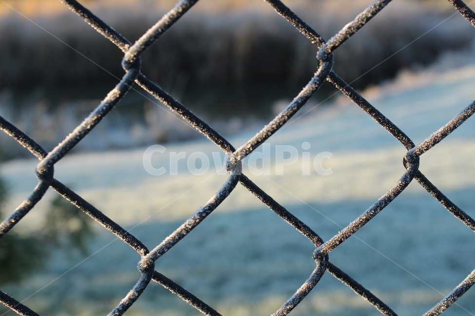철조망,차가움,햇빛,cold,photography