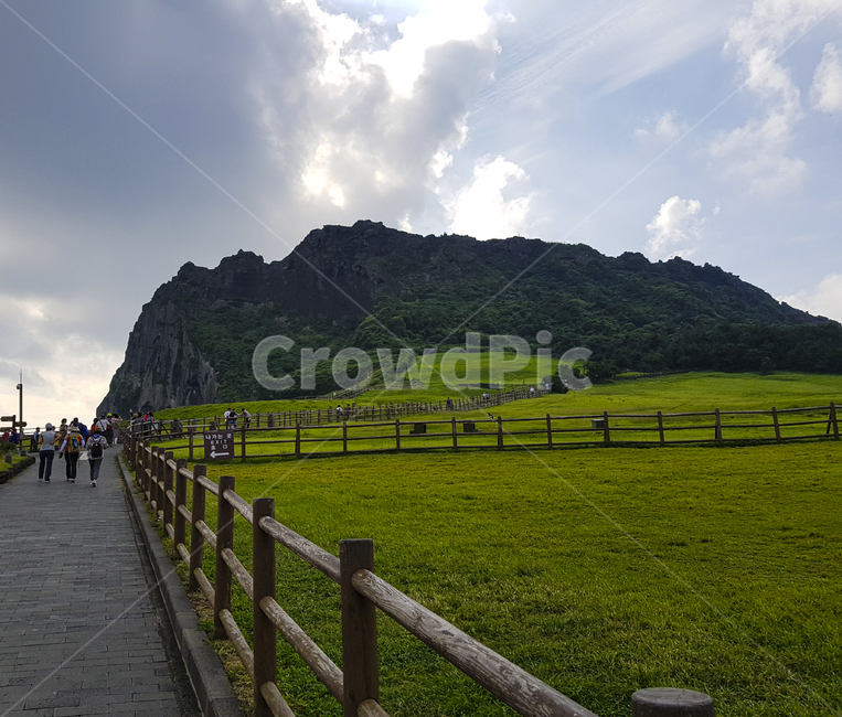 nature,자연,outdoors,옥외,사람,person,인간,grassland,목초지,field,들,human