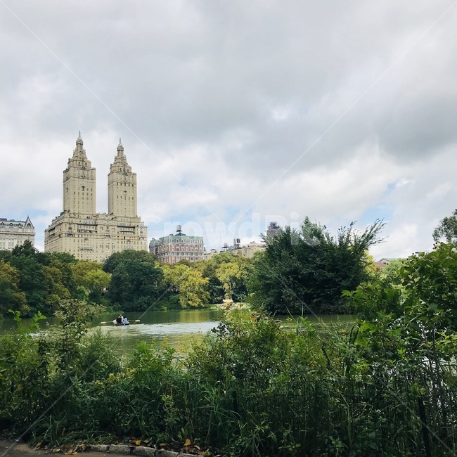 뉴욕,센트럴파크,공원,구름,하늘,잔디,나무,newyork,centralpark,park,cloud,sky,grass,tree