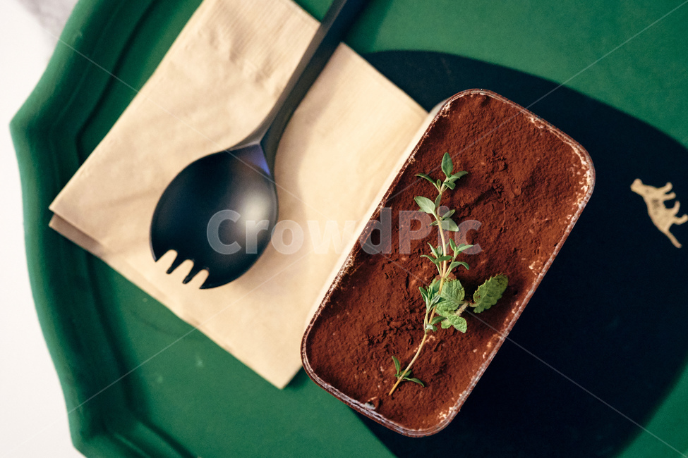 티라미슈,tiramisu,디저트,카페,cafe,휴식,food,dessert,허브,초록색,herbs,green,음식,식재료,요리,food,cook,meal,dishes,food reserves,디저트,간식,후식,dessert,snack
