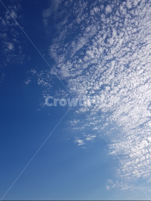 하늘,나무,자연,풍경,구름,오후,자연,풍경,nature,landscape,outdoors,옥외,azure sky,푸른 하늘,sky