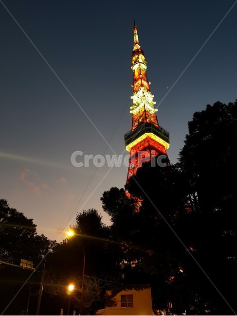 탑,architecture,tower,건축물,건물,building,도쿄타워,tokyotower,도쿄,tokyo,night,view,야경,불빛,landmark,japanlandmark,랜드마크,랜드마크,landmark,tourist attraction,세계랜드마크,해외랜드마크,외국랜드마크,world landmark,world tourist attraction