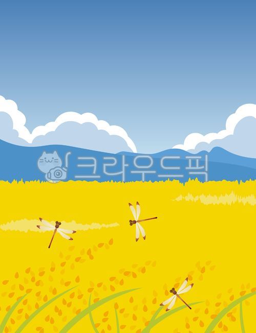 가을,풍경,자연,가을풍경,가을들판,논,추수,잠자리,하늘,구름,화창한