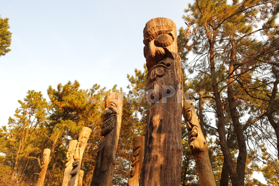 plant,식물,tree,나무,장승,한국전통,한국문화,korean traditional,korean culture