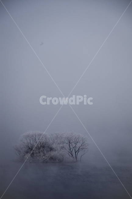 소양강,춘천,상고대,물안개,강안개,서리,겨울,계절,winter,season,자연,풍경,nature,landscape