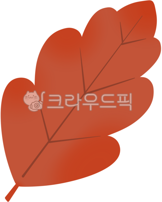 tree branch,tree,maple tree,autumn tree,autumn,maple,maple leaf,fall,autumn mood,leaf,leaf,leaf