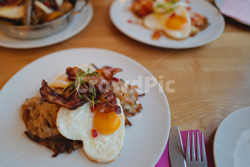 포크,dish,요리,food,음식,meal,식사,계란후라이,접시,식탁세팅,브런치,레스토랑,베이컨,restaurant