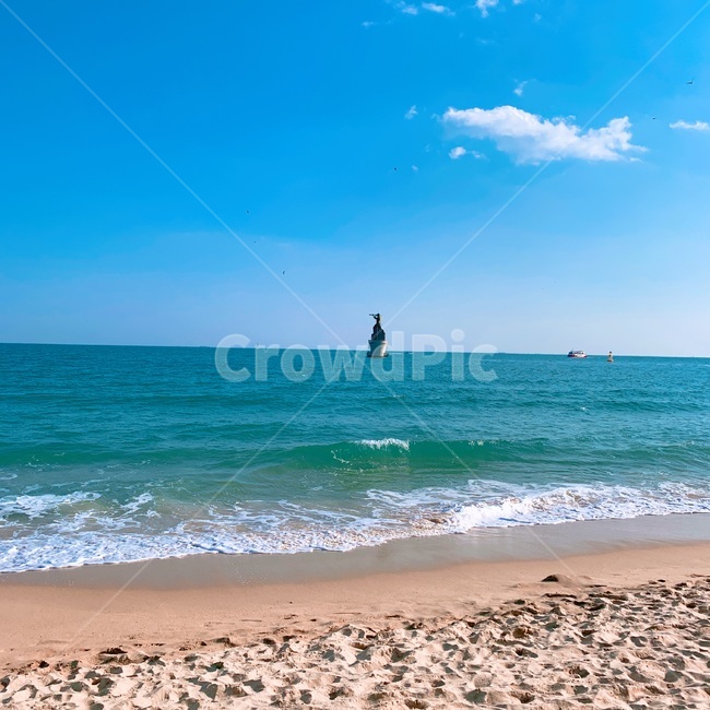 바다,해수욕장,해운대,파도,해운대해수욕장,해변,바다,beach,sea