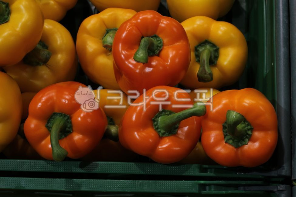 색,채소,피망,color,vegetable,food,bellpepper,red,yellow,orange
