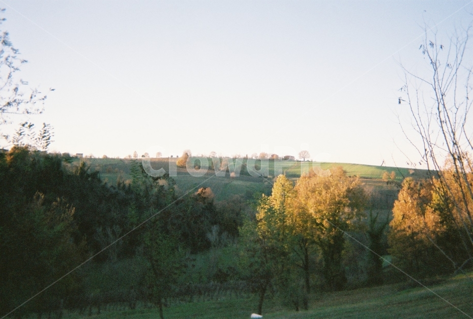 나무,햇살,숲,따뜻한,자연,그림자,눈부신,산,필름카메라,tree,forest,shadow,mountain,italy,filmcamera,유럽,europe,자연,풍경,nature,landscape,plant,식물,fir,전나무,outdoors,옥외