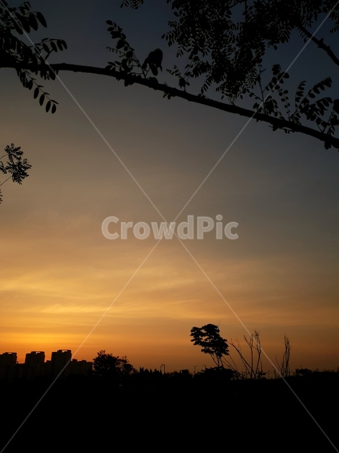 일출,아침,맑음,풍경,자연,자연,풍경,nature,landscape,실루엣,그림자,silhouette,shadow,outdoors,옥외,sunlight,햇빛,dusk,황혼,dawn,새벽,red sky,붉은 하늘,sky,하늘,sunset,일몰
