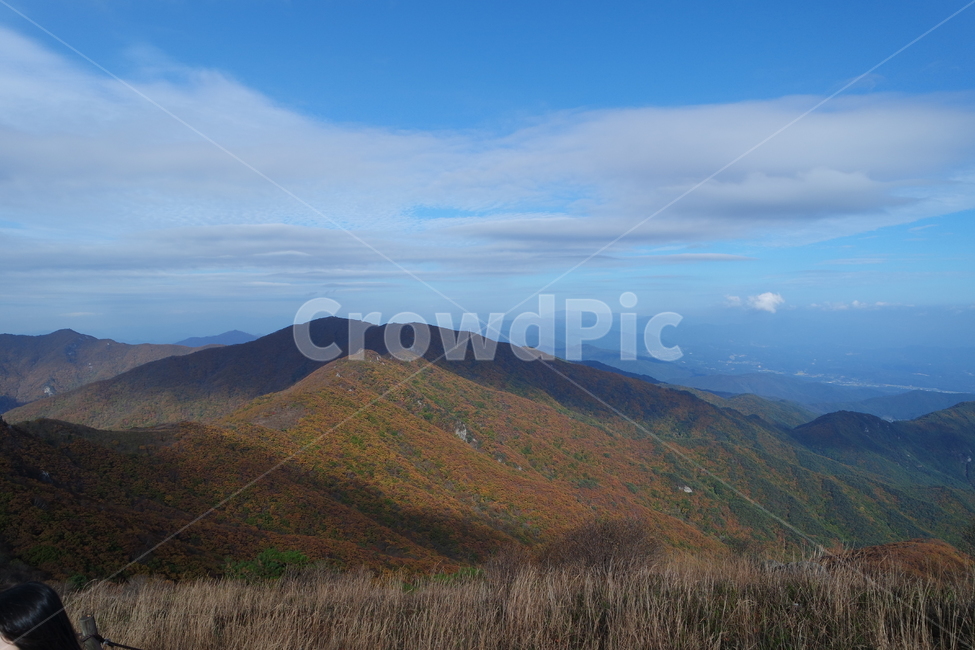 소백산,가을산,산,소백산국립공원,등산,가을,계절,fall,autumn,season,자연,풍경,nature,landscape,한국자연풍경,한국자연경관,korea nature landscape,outdoors,옥외,hill,언덕