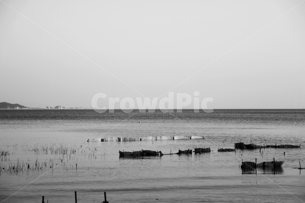 바다풍경,잔잔한파도,자연,감성,바다,자연,풍경,nature,landscape,흑백,모노톤,monochrome,black and white,산업,industry,industrial,어업,fishery,fishing industry,water,물,waterfront,워터 프론트