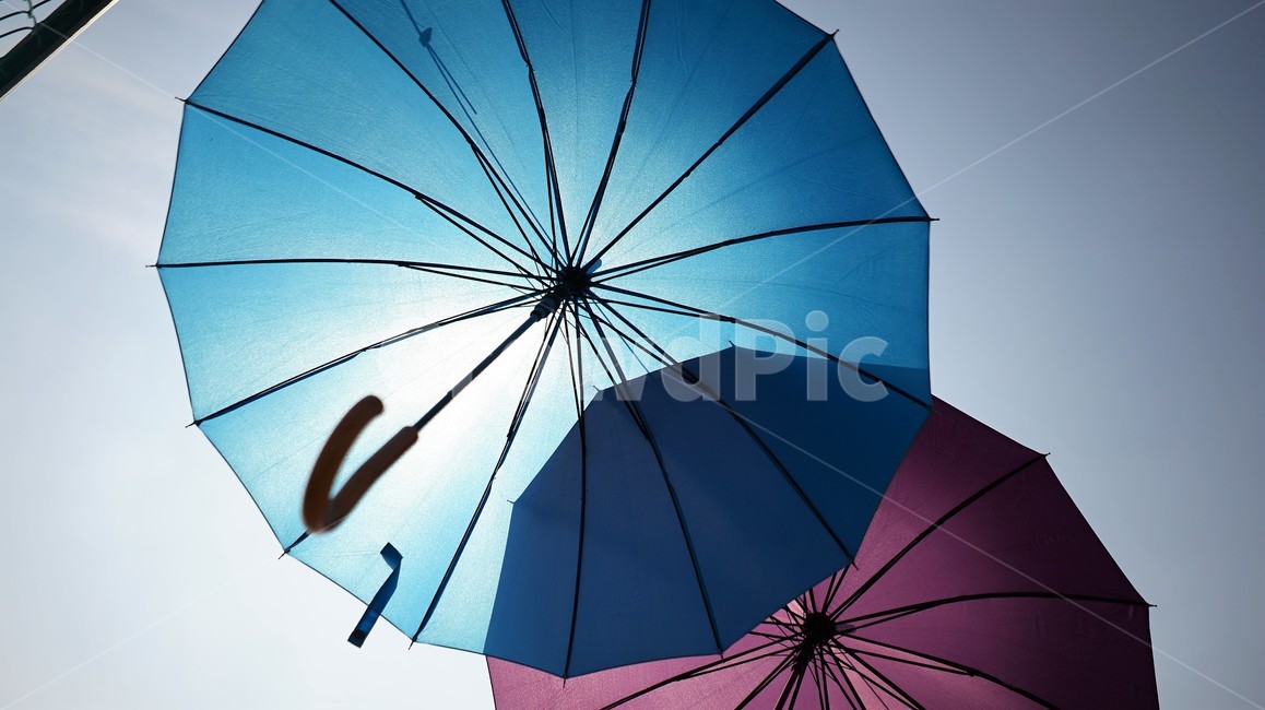 햇빛,우산,그늘,더위,그림자,umbrella,canopy