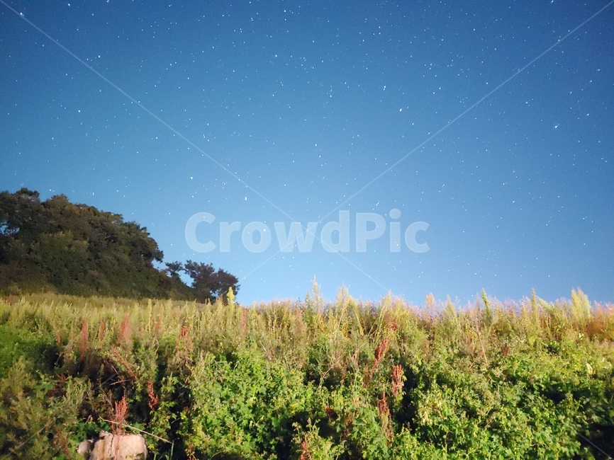star,galaxy,milkyway,nature,밤,별,은하수,밤하늘,감성,자연