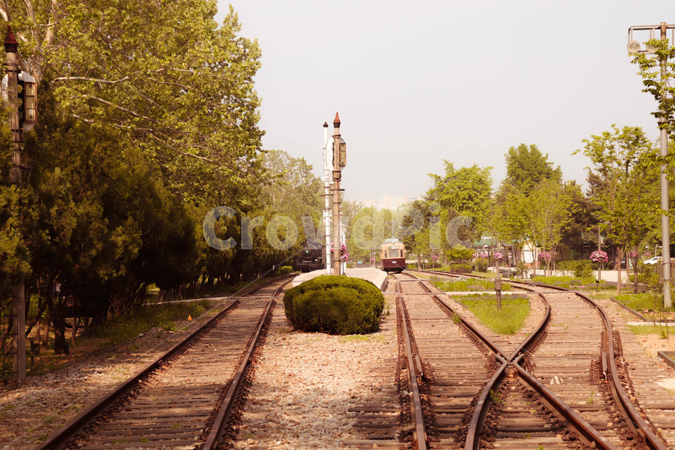 레일,기찻길,철도,숲,여름,traintrack,railway,transportation,교통,교통수단,traffic,transportation