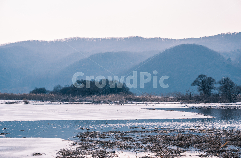 습지,겨울,풍경,산,강,눈,얼음,하천,경안천,겨울,계절,winter,season,자연,풍경,nature,landscape,한국자연풍경,한국자연경관,korea nature landscape,outdoors,옥외