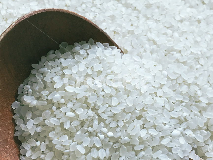 쌀,밥,벼,rice,korearice,흰쌀,백미,food,식품,음식,식재료,요리,food,cook,meal,dishes,food reserves,곡류,곡식,cereals