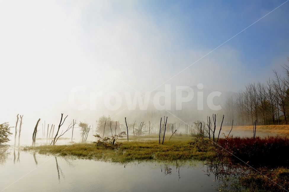 문광저수지,물안개,낚시터,여행,몽환,괴산,충북,자연,풍경,nature,landscape,한국자연풍경,한국자연경관,korea nature landscape,water,물,land,땅,outdoors,옥외
