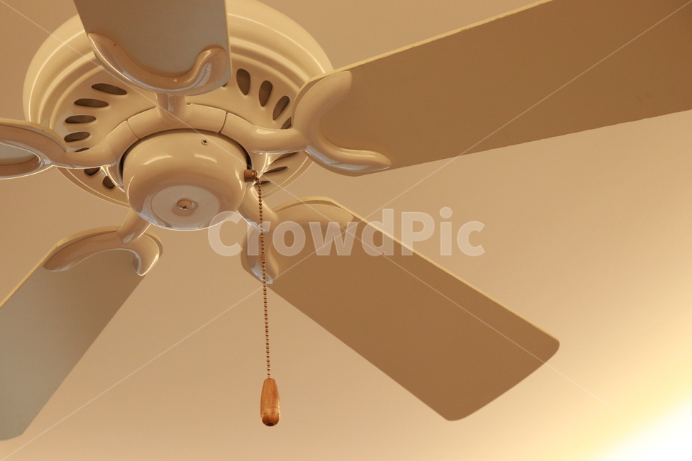 천장,ceiling,팬,fan,내부,indoor,인테리어,interior