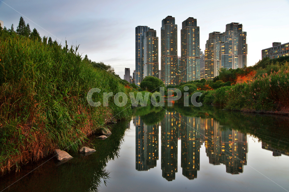 타워팰리스,삼성,주상복합,고급,강남구,도곡동,야경,건축,초고층건물,아파트,야경,밤,풍경,nightscape,night,landscape,도시,city,한국도시풍경,한국도시경관,korea cityscape,water,물,outdoors,옥외,nature,자연
