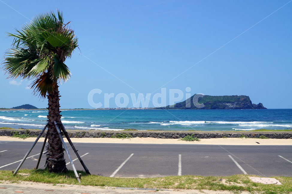성산일출봉,바다,야자수,파도,하늘,제주도,한국,seongsanilchulbong,sea,palmtrees,waves,sky,jejuisland,korea