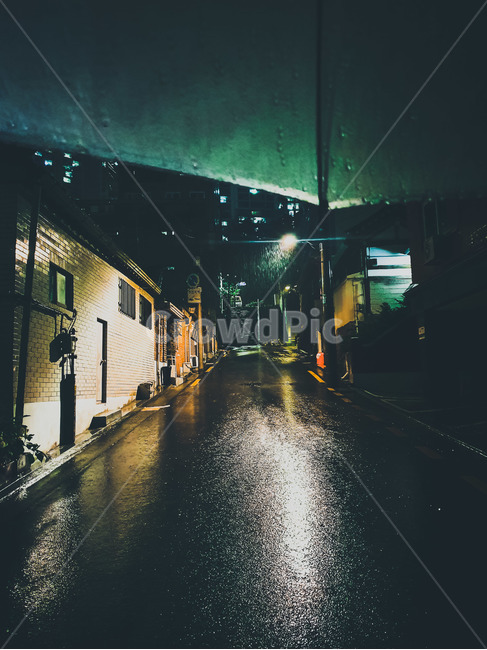 lighting,조명,asphalt,아스팔트,비,비오는날,우산,골목,분위기,감성