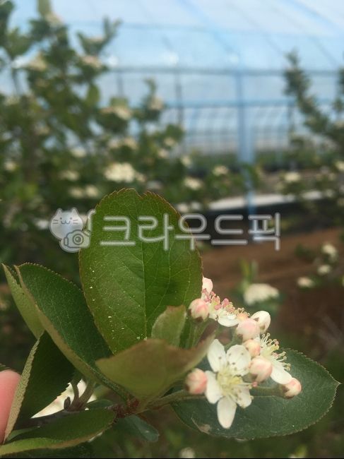 비닐온실,비닐하우스,플라스틱하우스,측창,단동하우스,환기