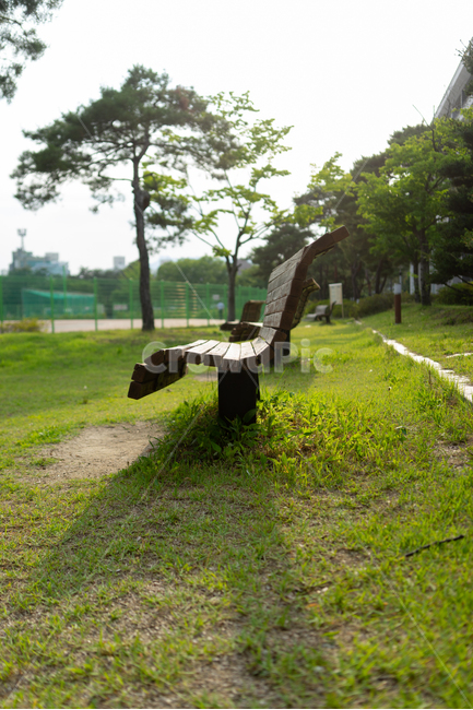 오후,밴치,햇빛,그림자,잔디