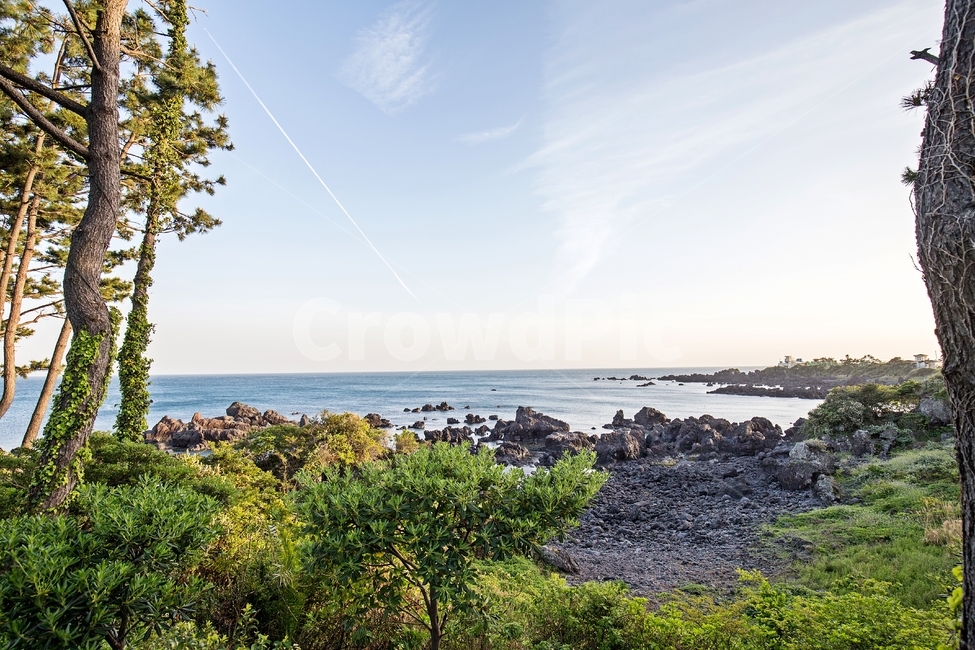 바다,풍경,제주도,바위,나무,자연,경치,서귀포,sea,jeju,tree,nature,scenery,landscape,자연,풍경,nature,landscape,한국자연풍경,한국자연경관,korea nature landscape,해변,바다,beach,sea,제주도,jeju,jeju island