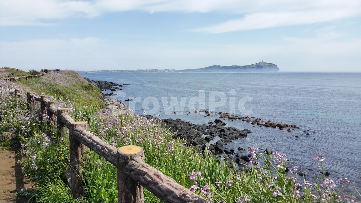 제주도,우도,화산섬,검멀레해변,검은모래,자연,풍경,nature,landscape,한국자연풍경,한국자연경관,korea nature landscape,제주도,jeju,jeju island