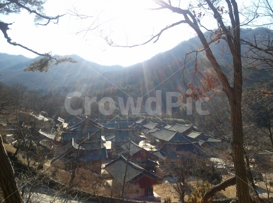 절,햇살,산,템플,불교,전통,한국전통,한국문화,korean traditional,korean culture,종교,신앙,religion,belief,faith
