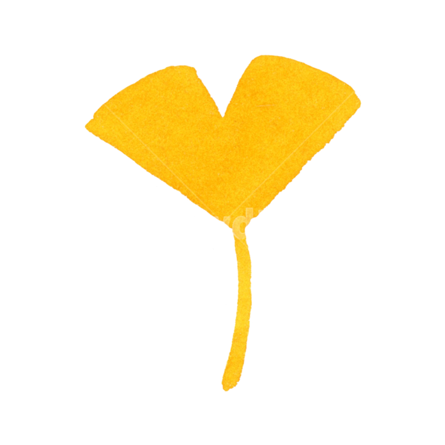 잎,은행잎,가을,leaf,낙엽,나뭇잎,식물,노랑,plant,자연,계절,수채화,손그림,일러스트,fall,autumn,season,illustration,watercolor,가을,계절,fall,autumn,season,그래픽,일러스트레이션,graphic,illustration